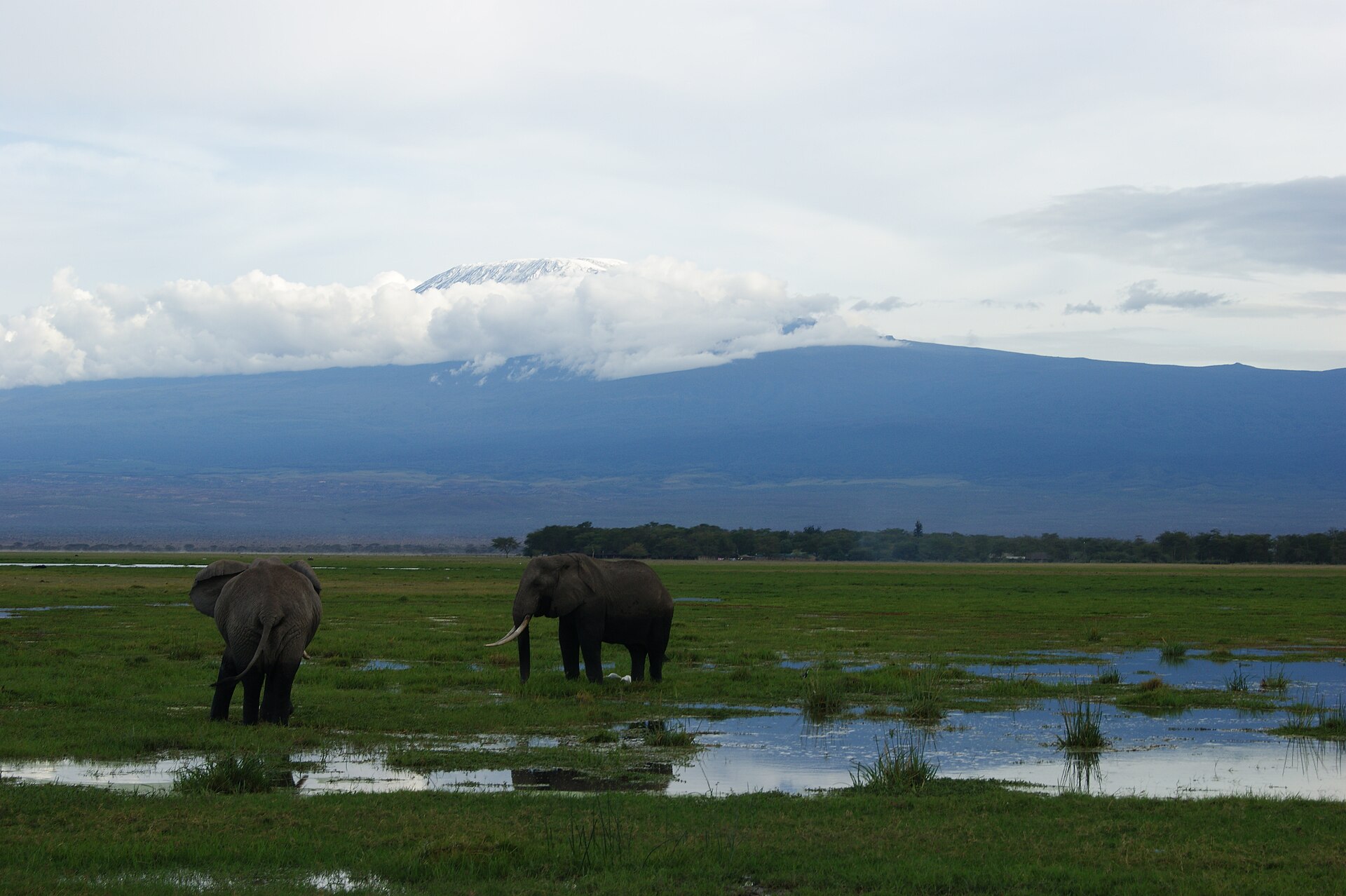 Amboseli