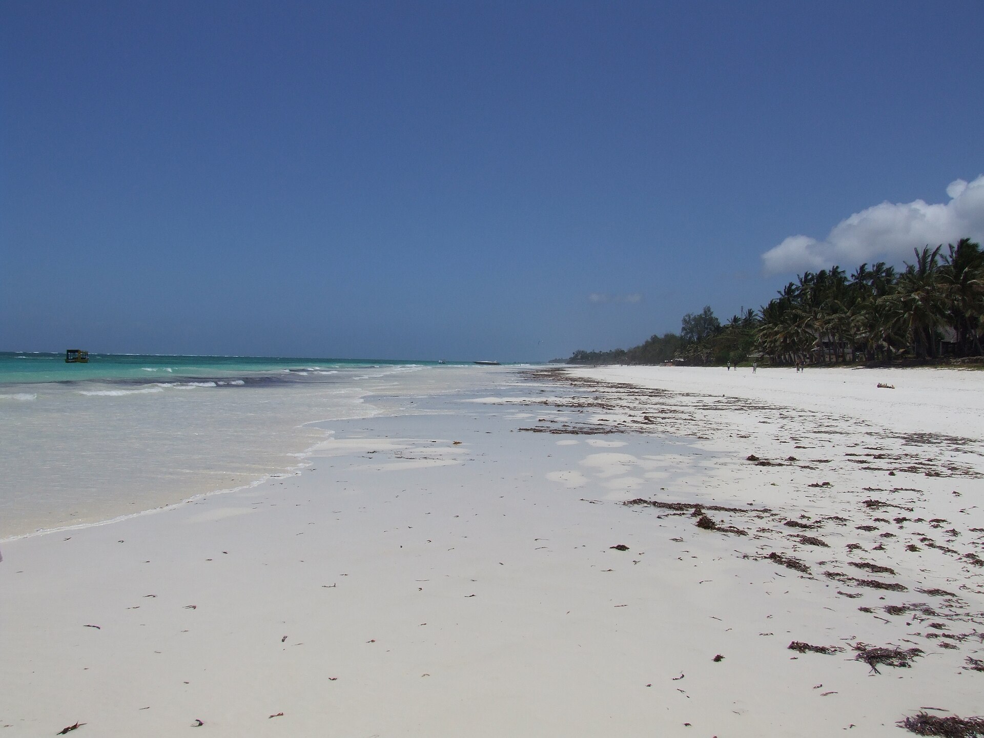 My Love For Africa: More Than Just a Journey