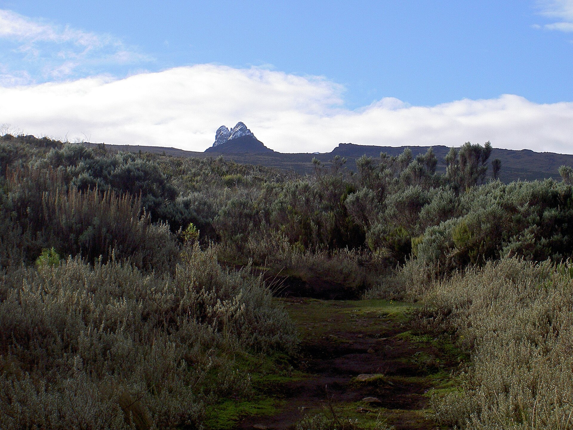 Mount Kenya