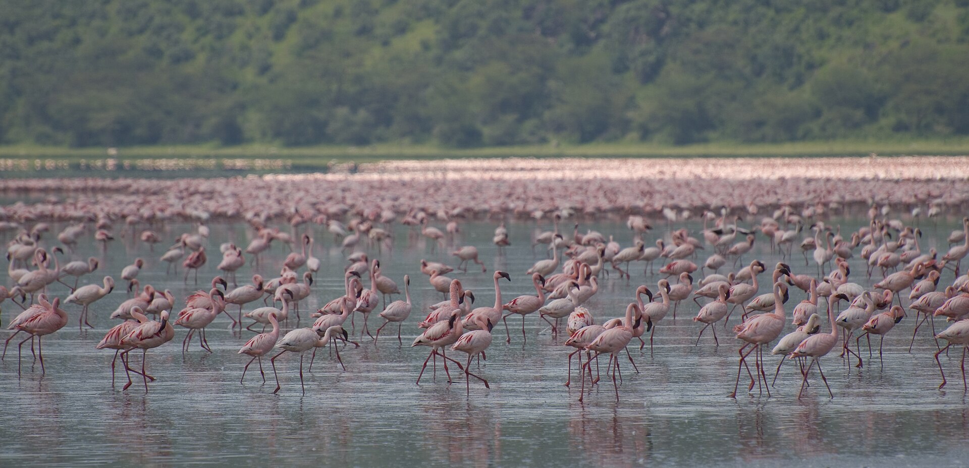 Nakuru