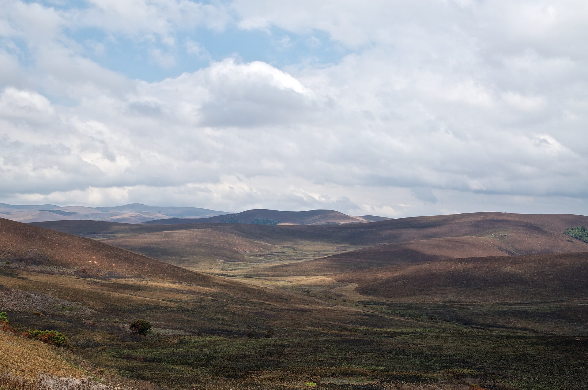 Nyika Plateau, Malawi
