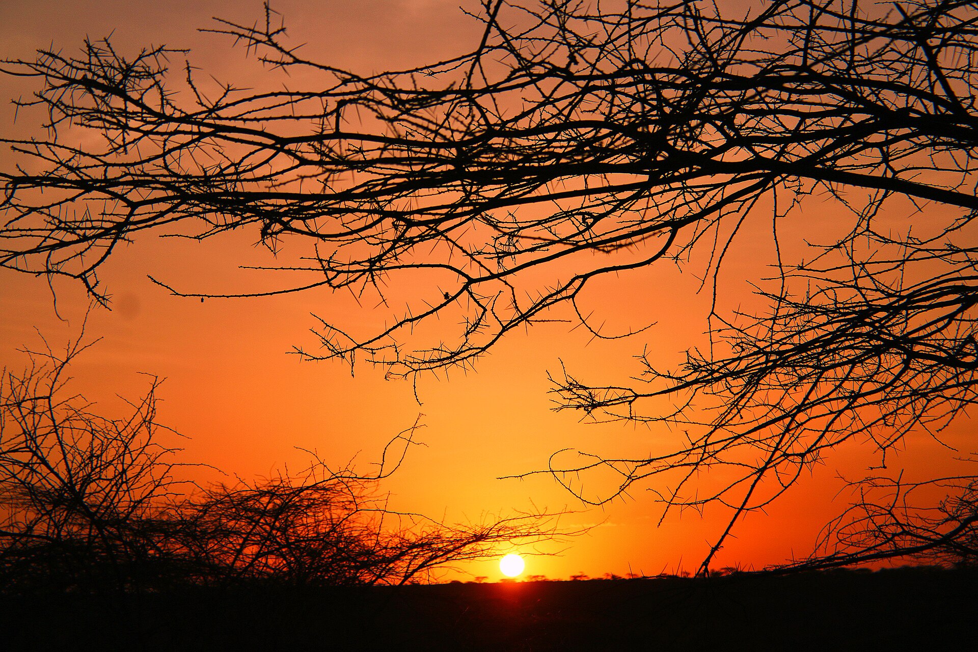 Samburu