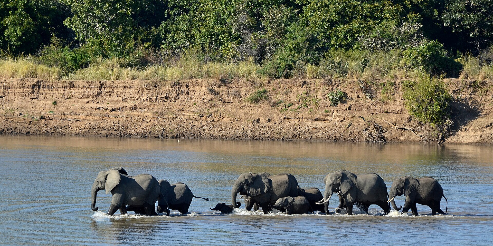 South Luangwa
