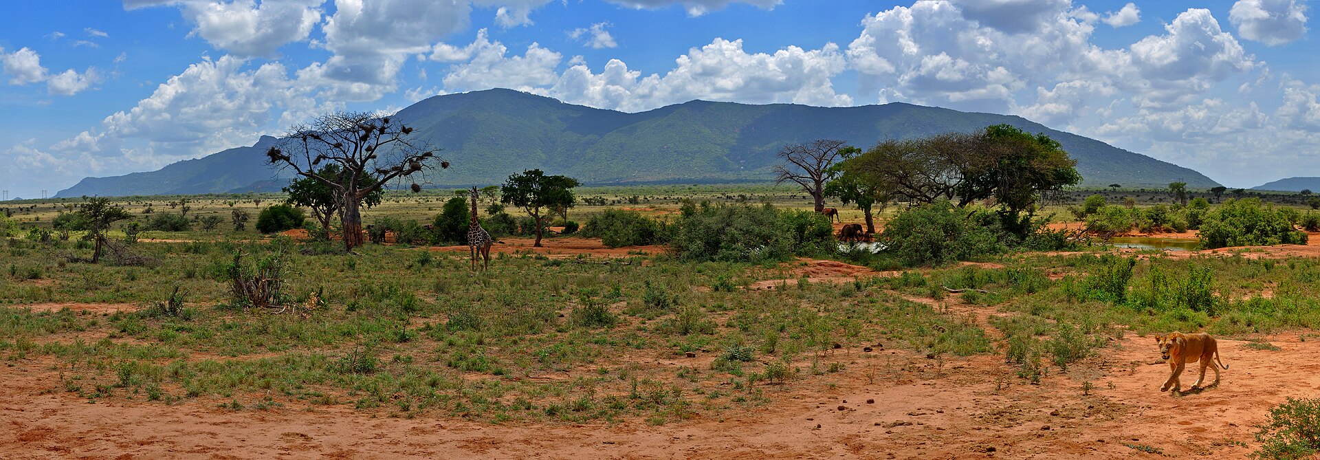 Tsavo