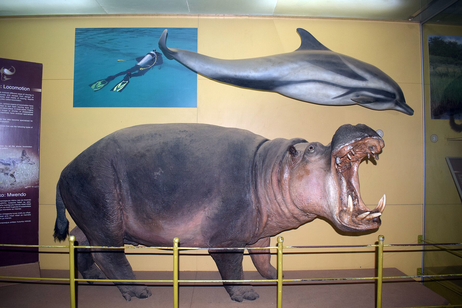 National Museum of Kenya