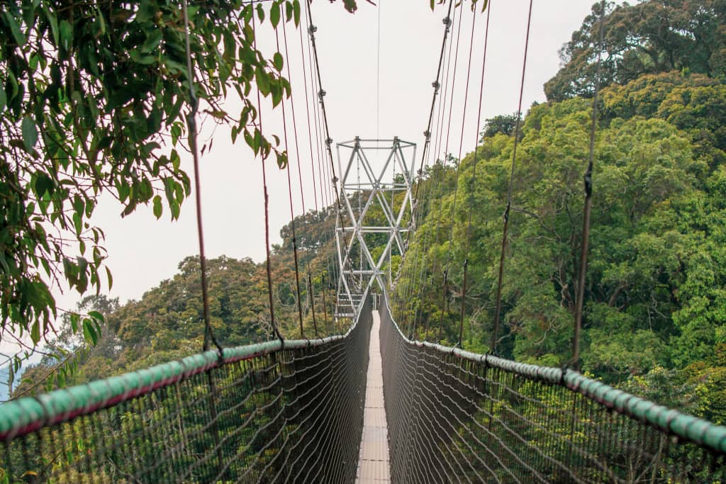 Akagera & Nyungwe 6 Days
