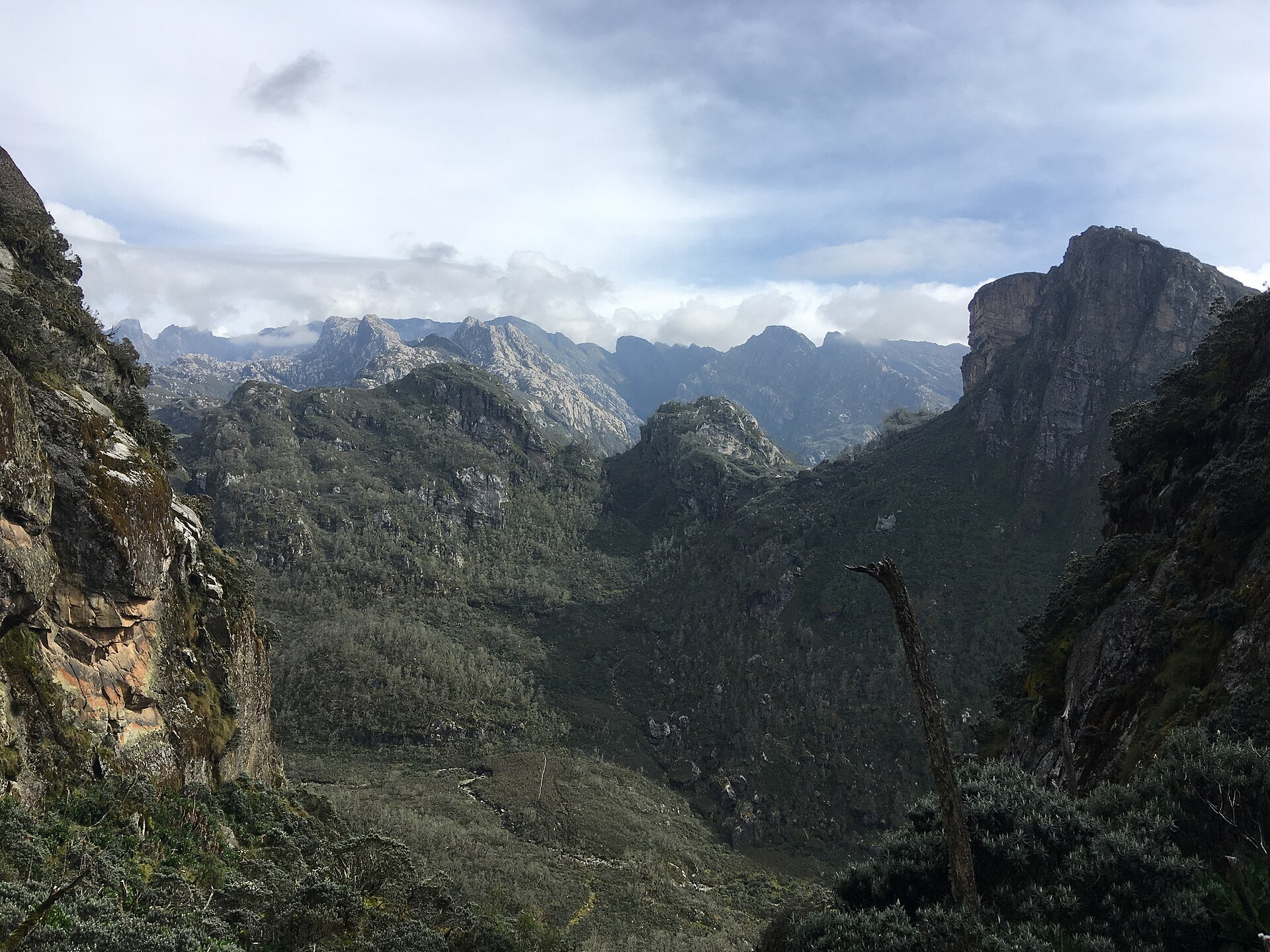 Rwenzori Wilderness Escape