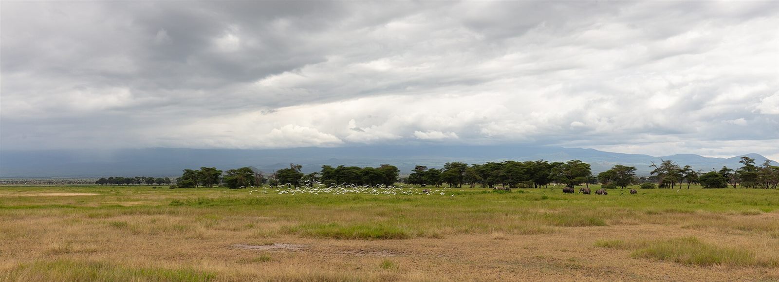 Amboseli National Park
