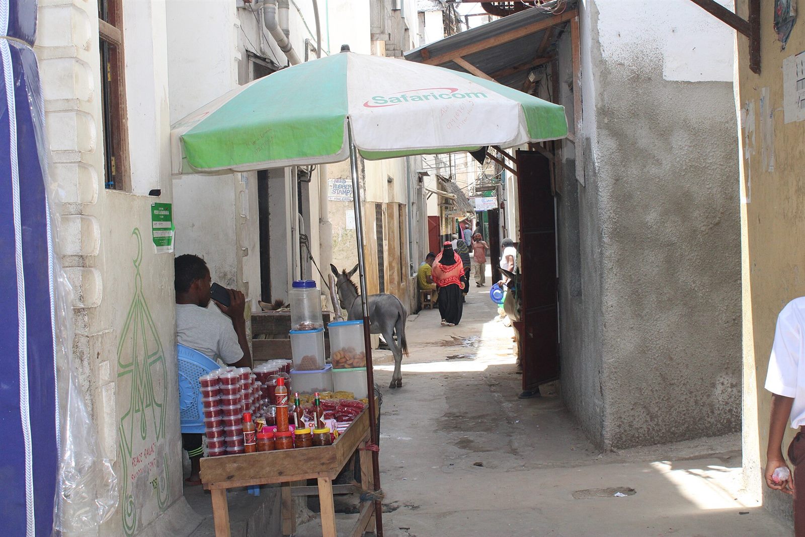 Lamu — Wildlife in context