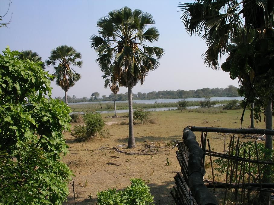 Lake & Safari Harmony