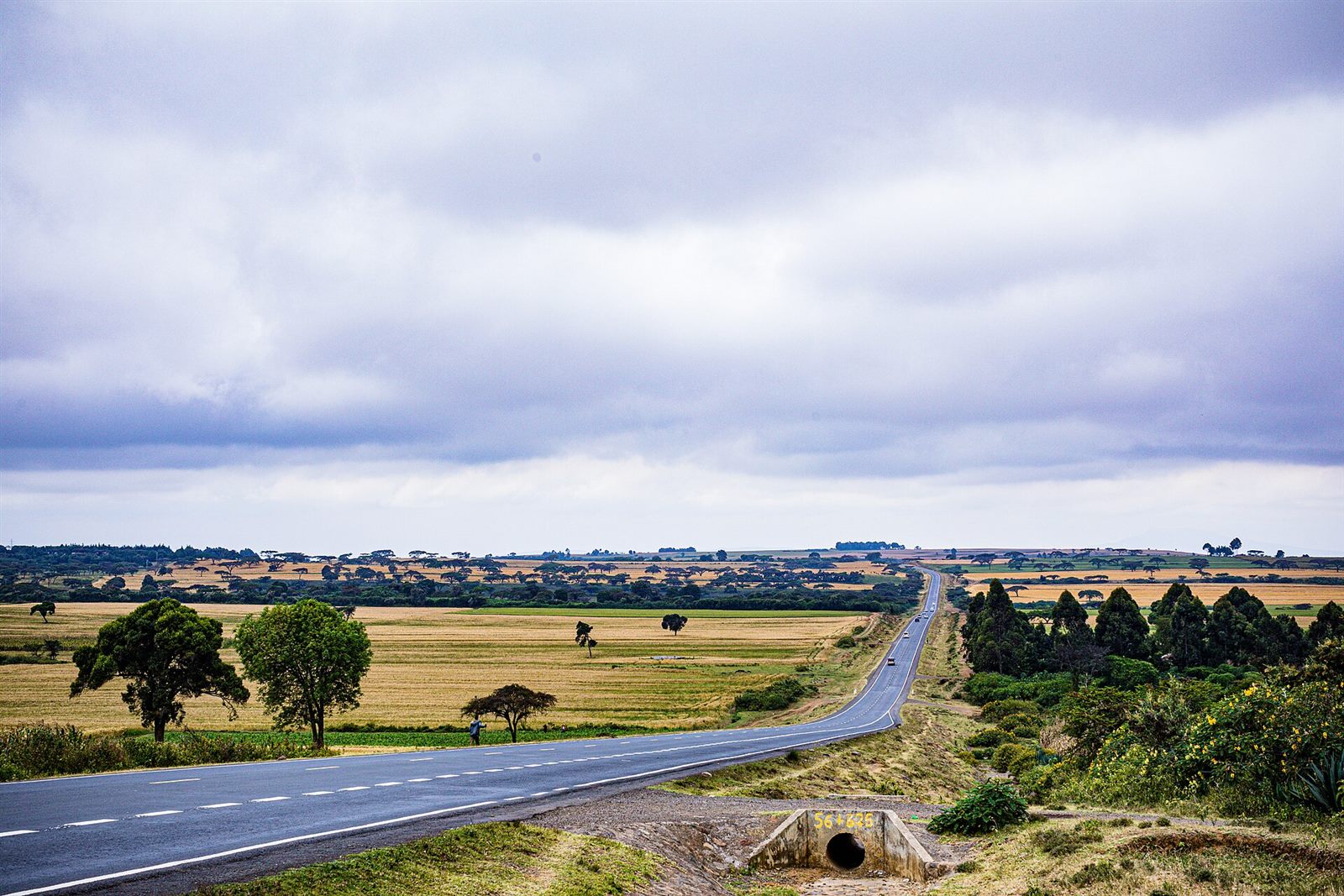 Maasai Mara 3 Days Safari