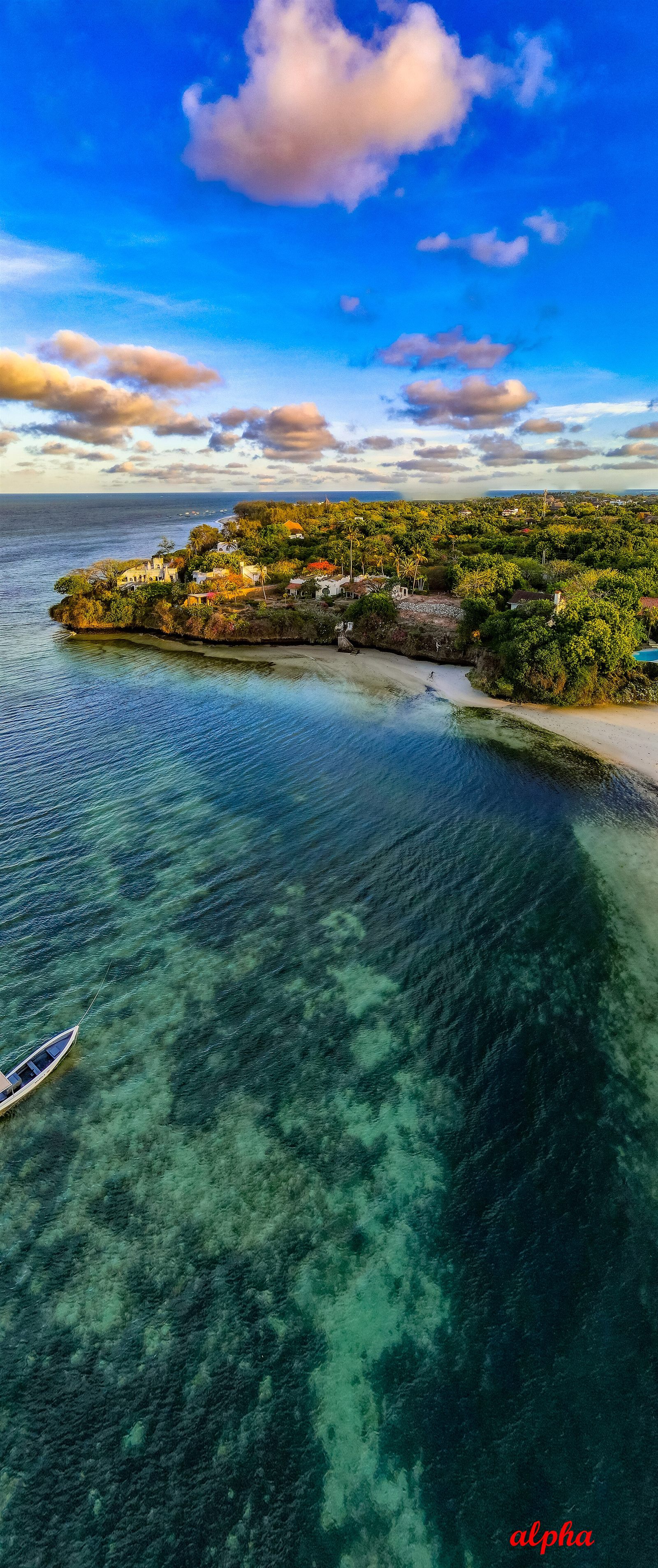 Malindi and Watamu — Wildlife in context