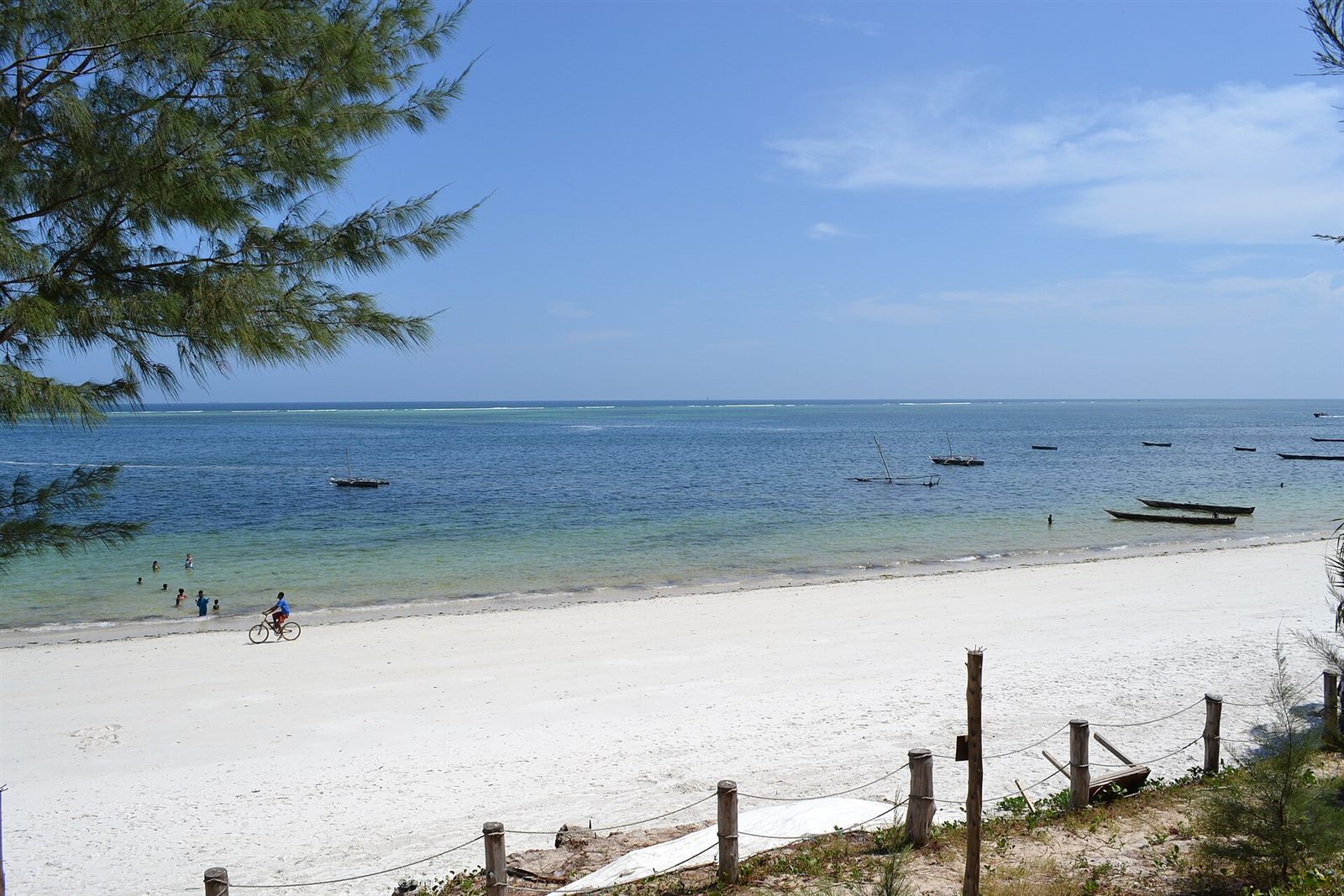 Mombasa North Coast — Wildlife in context