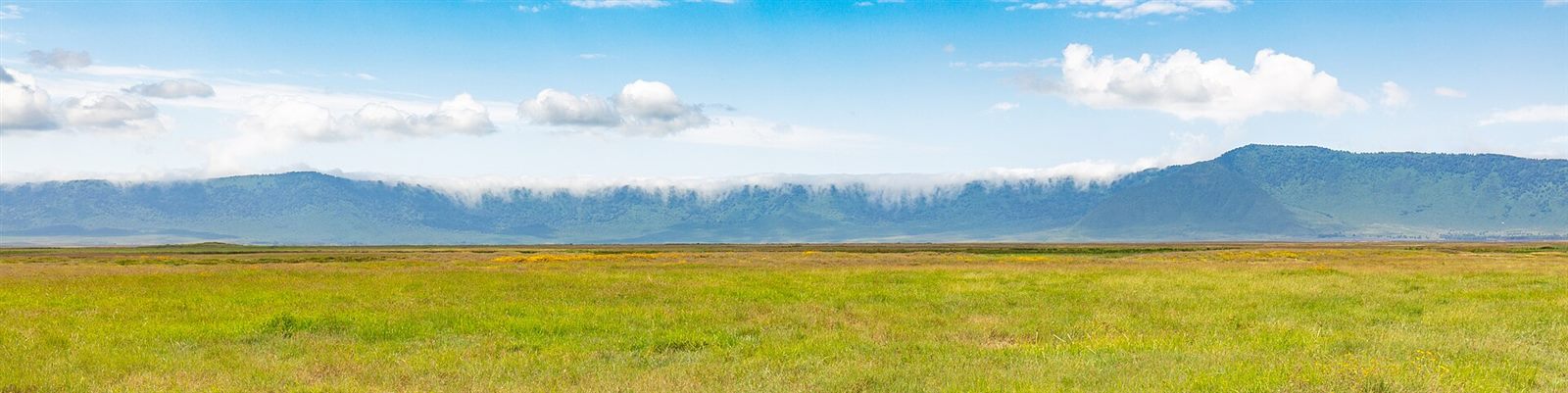 Serengeti & Ngorongoro 6 Days