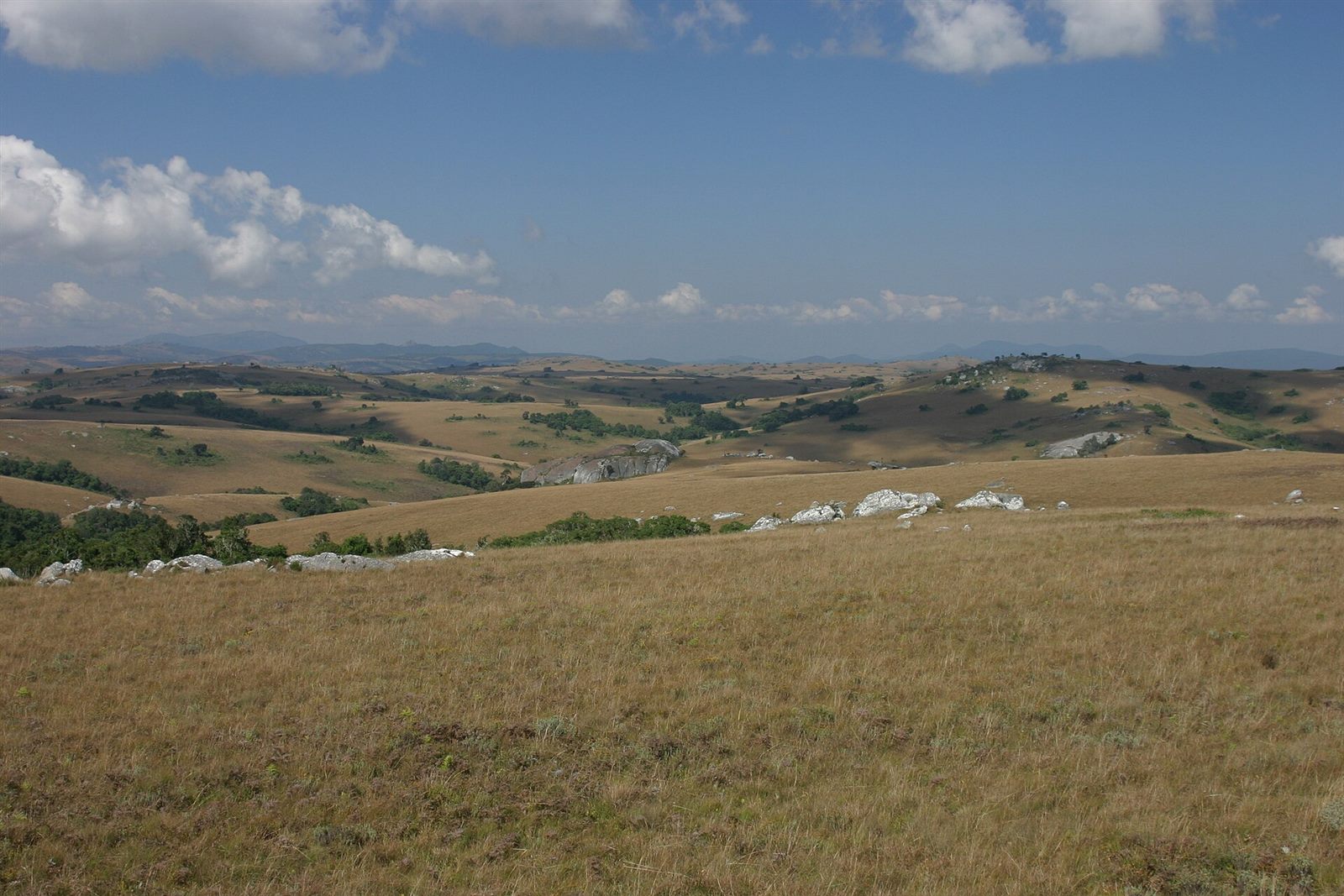 Nyika Plateau — Wildlife in context