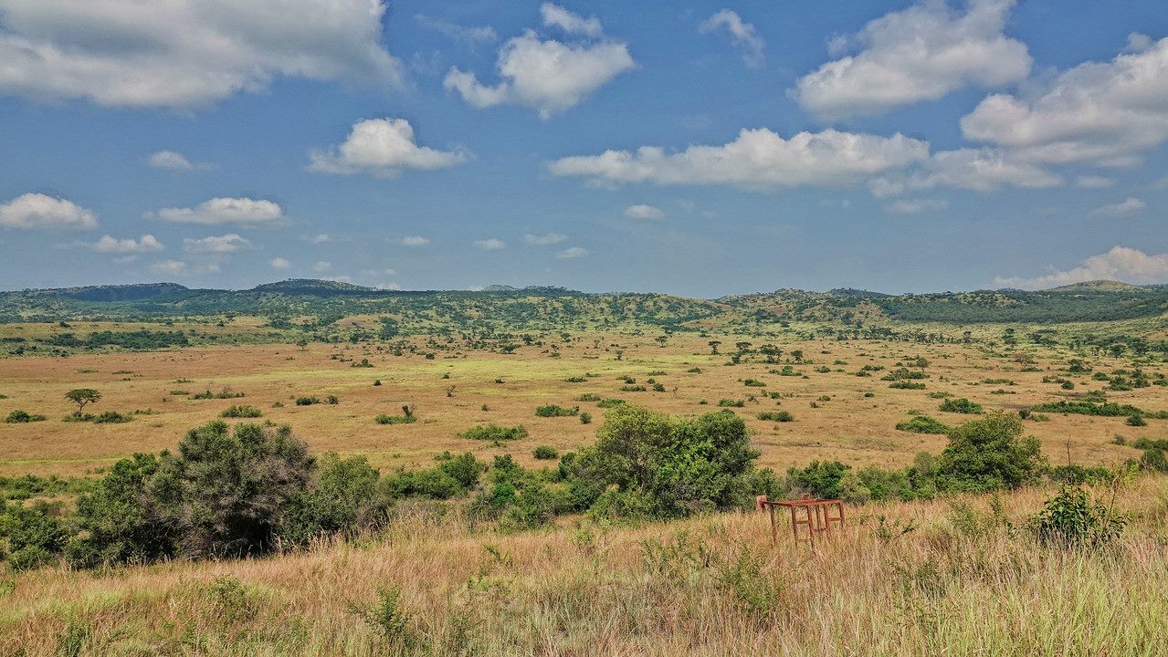 Queen Elizabeth National Park 5 Days