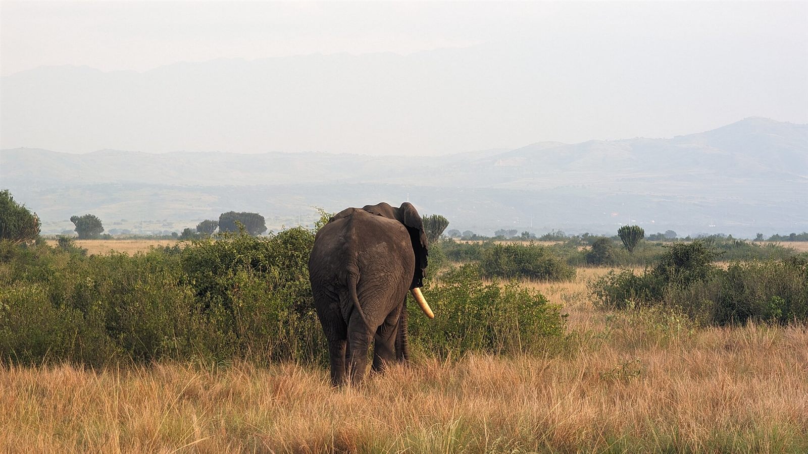 Queen Elizabeth National Park 5 Days