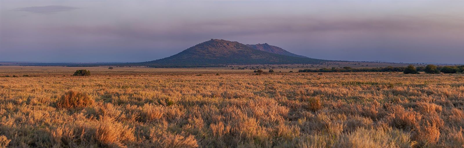 Serengeti Grandeur