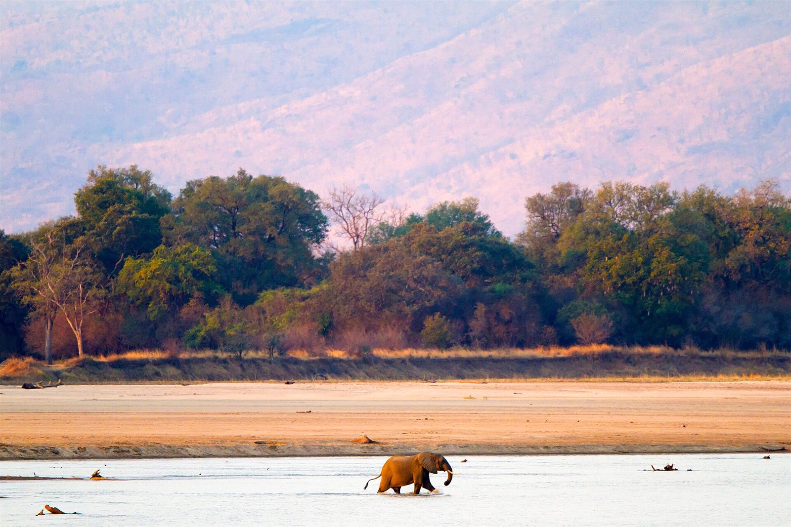 South Luangwa — A sense of place