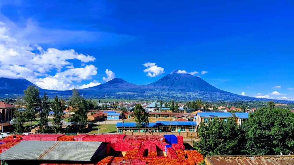 Volcanoes & Primates
