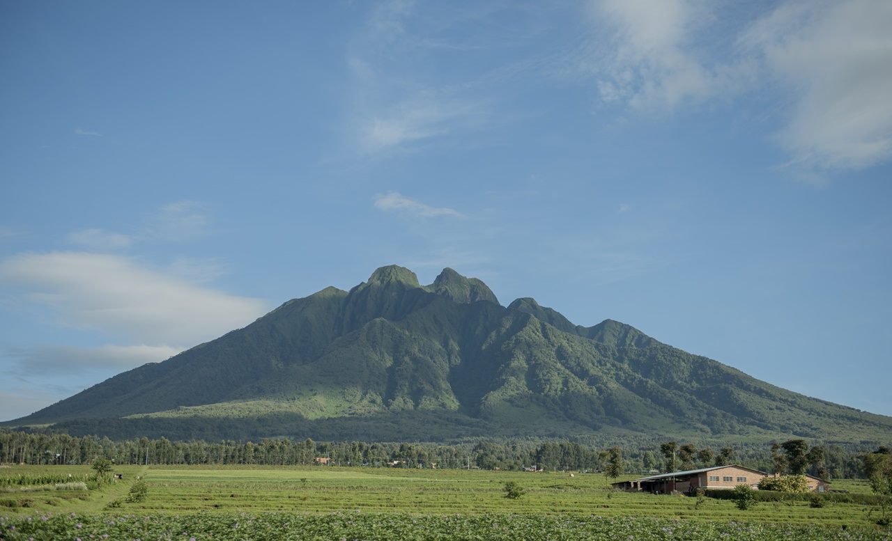 Volcanoes & Primates