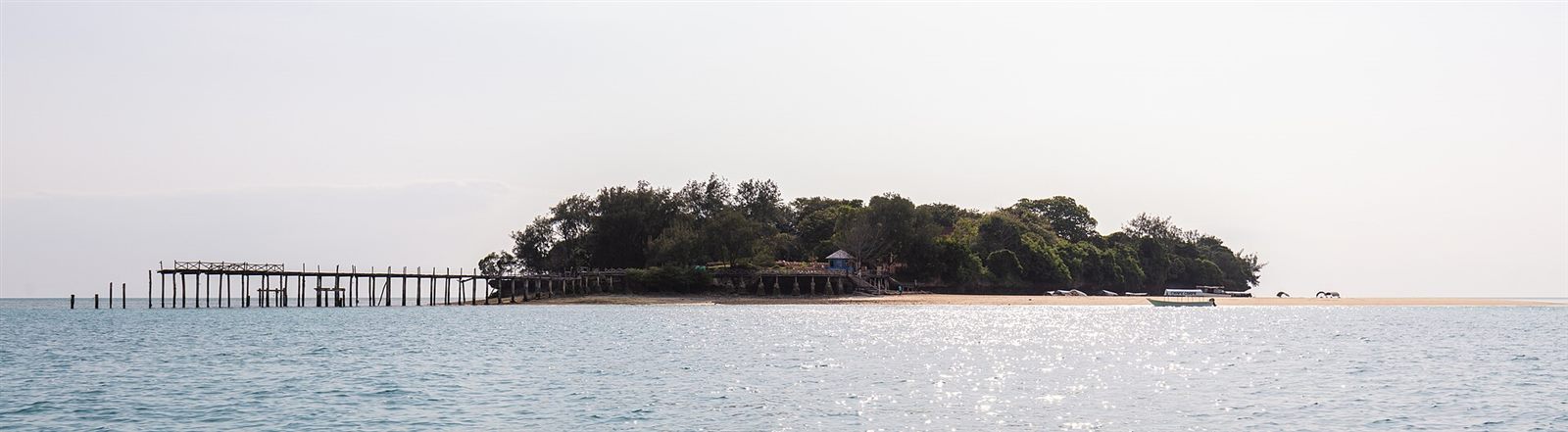 Zanzibar — Wildlife in context