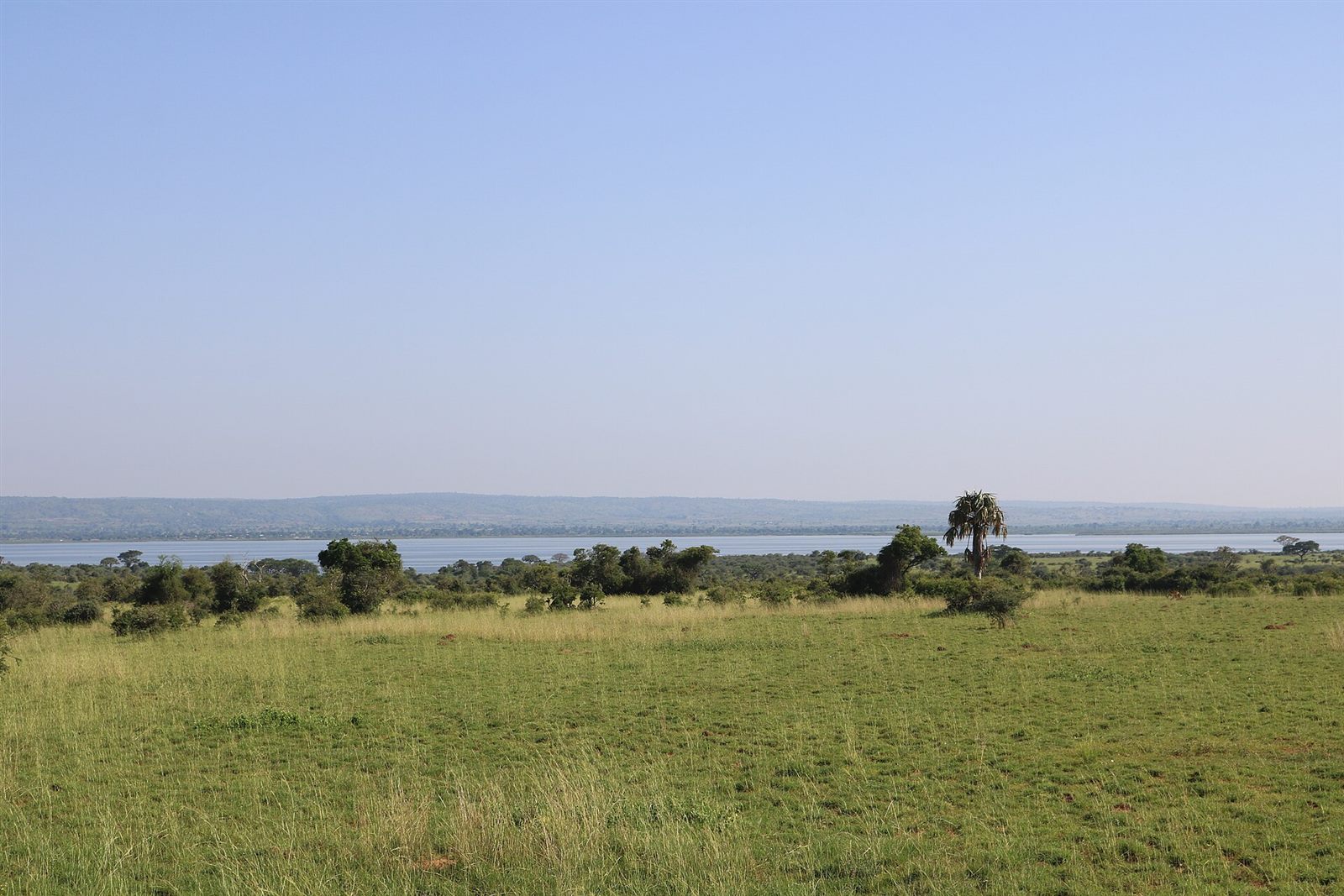 Murchison Falls & Chimpanzees 5 Days