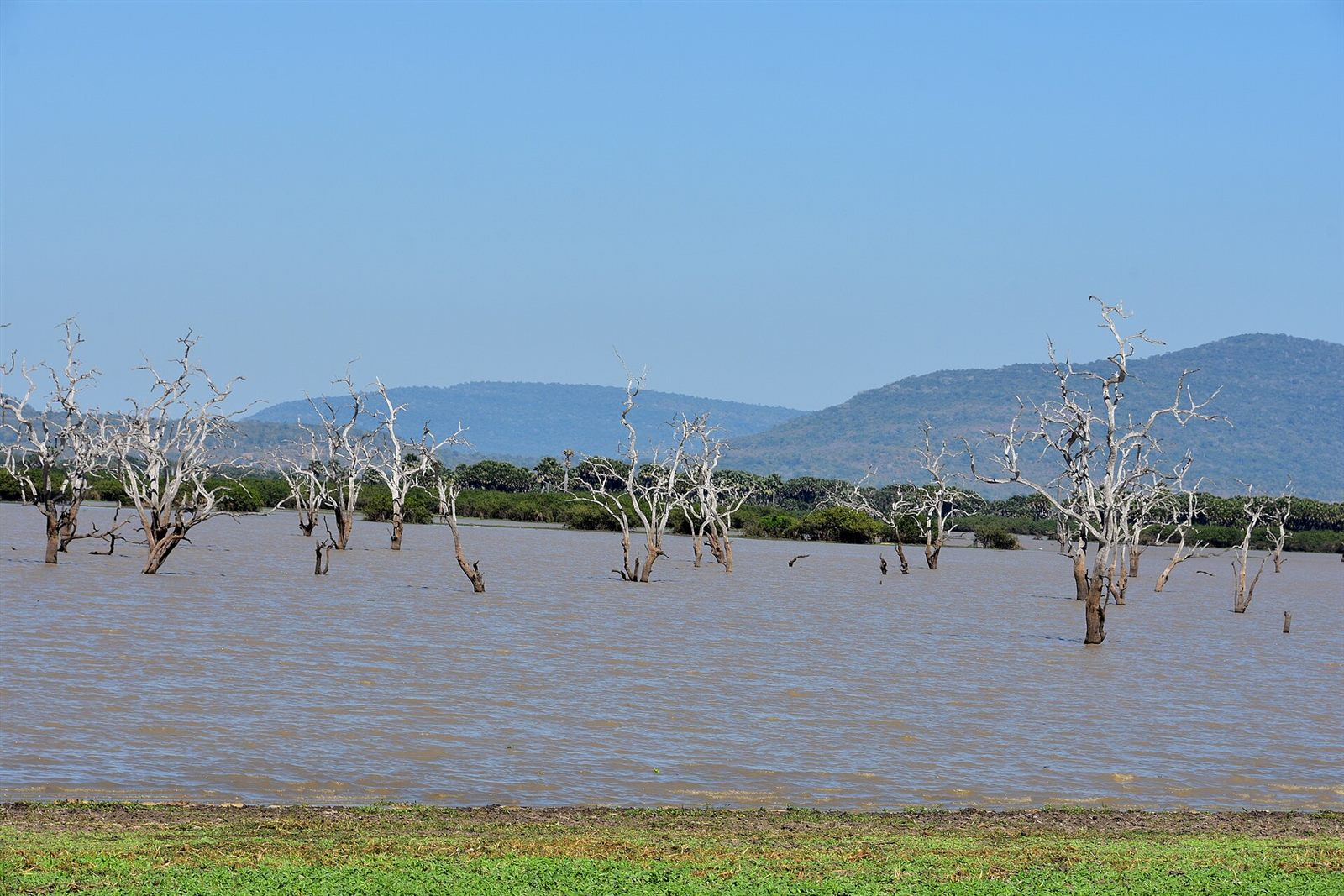 Selous Game Reserve 5 Days
