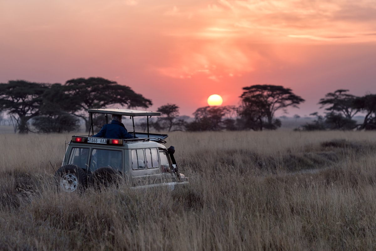 Kenya Safaris
