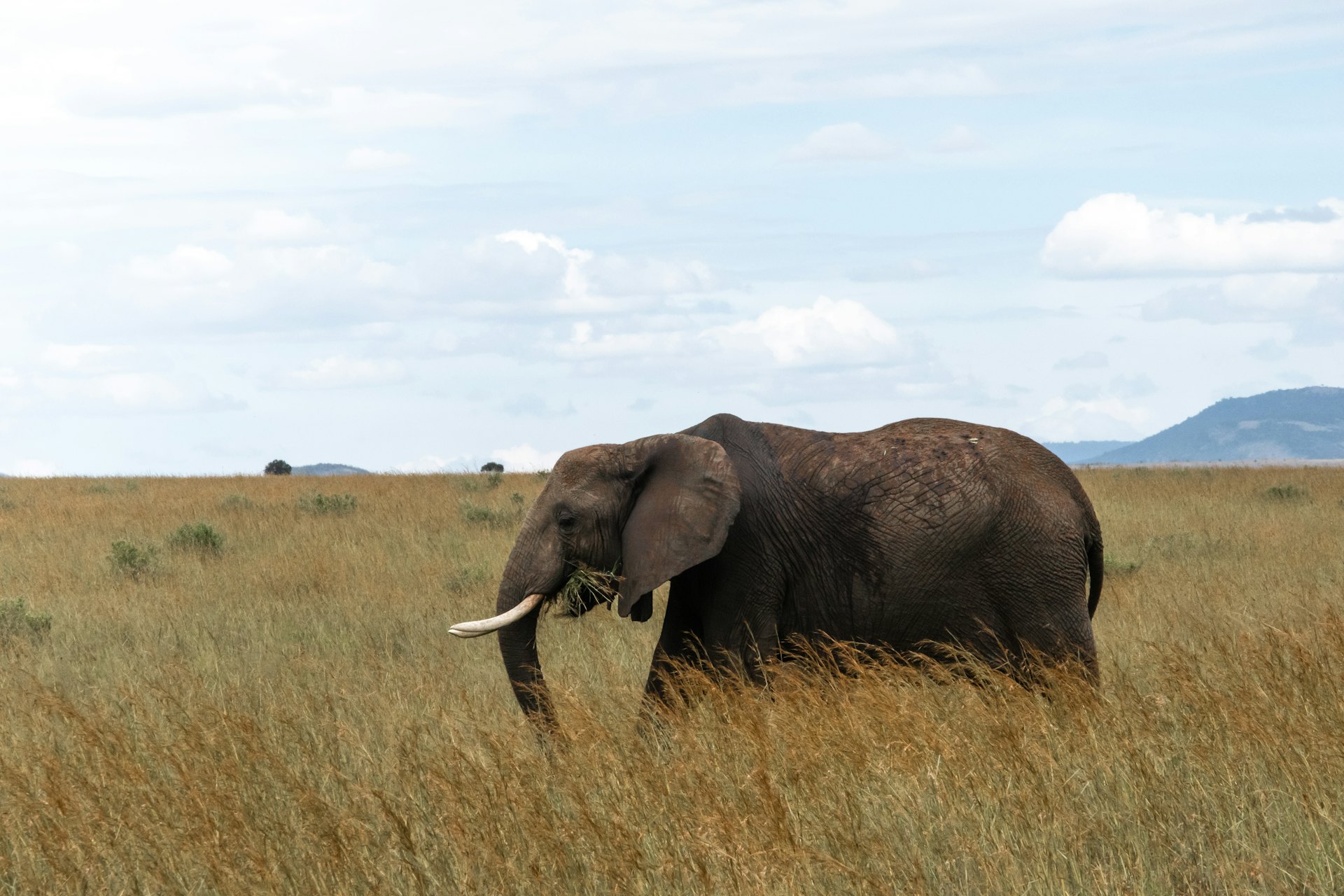My Love For Africa: More Than Just a Journey