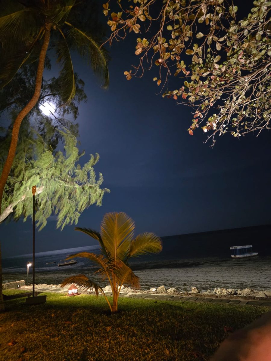 Severin Sea Lodge