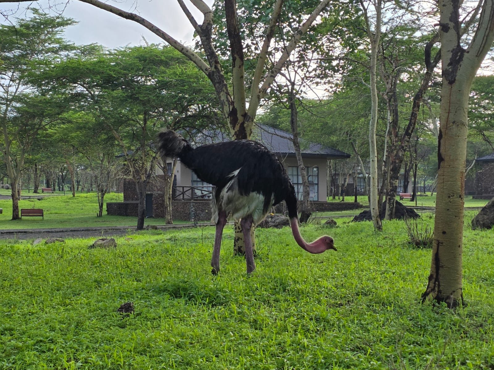 Aya Sophia Wildlife Moments
